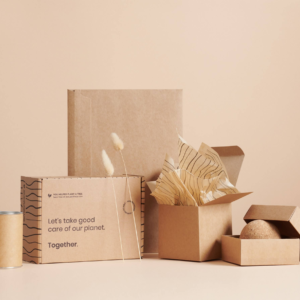 Eco Friendly Boxes